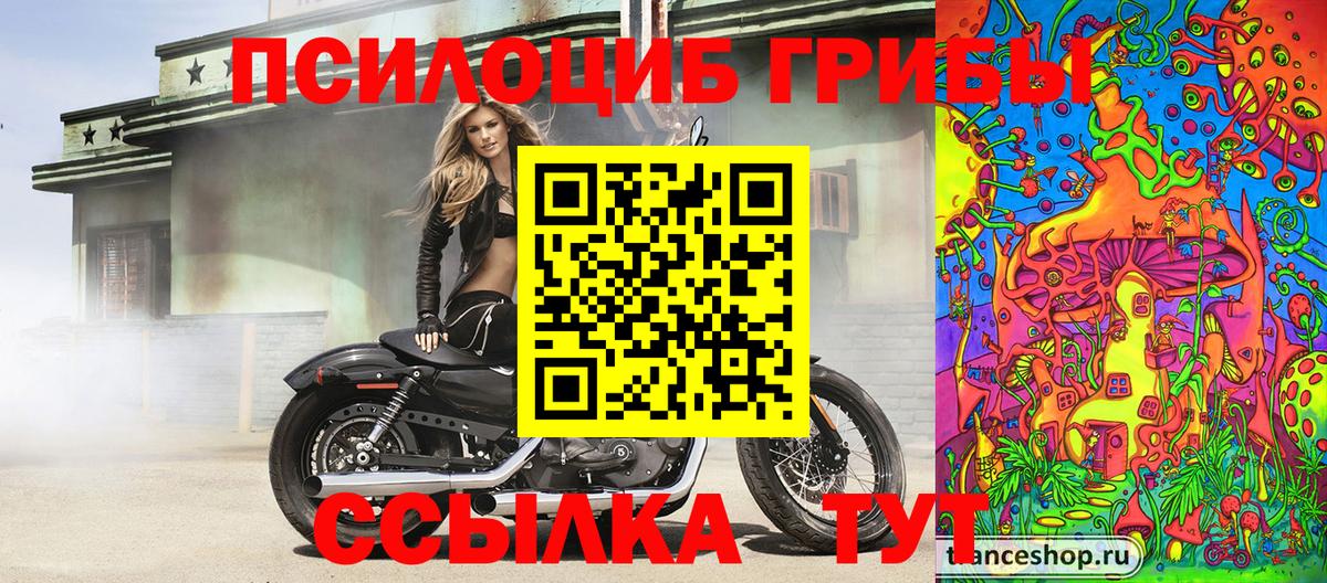 Псилоцибиновые грибы Psilocybine cubensis Нефтекамск